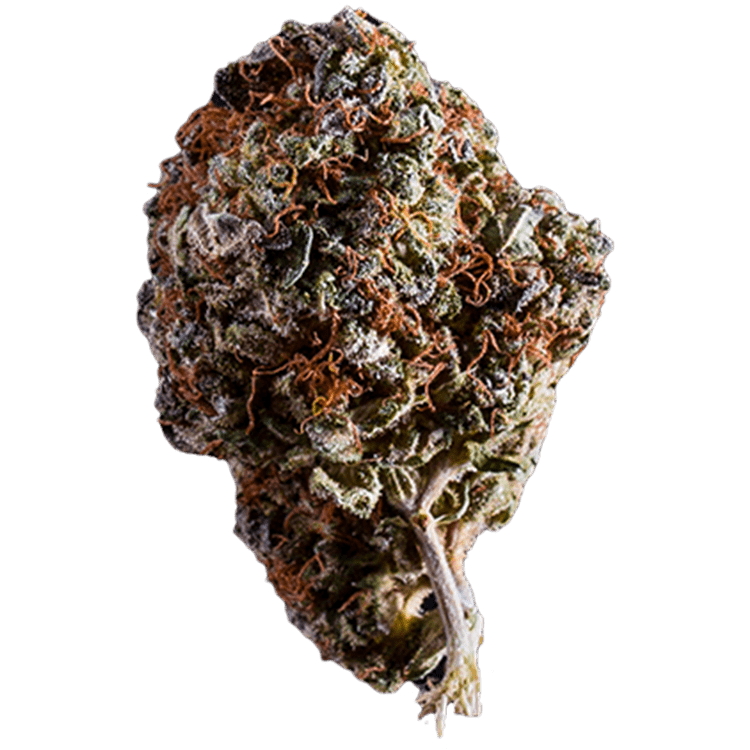 White Widow | BC Weed Edible Canada White Widow | BC Weed Edible Canada