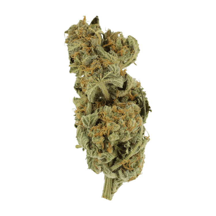 Gorilla Glue | BC Weed Edible Canada Gorilla Glue | BC Weed Edible Canada