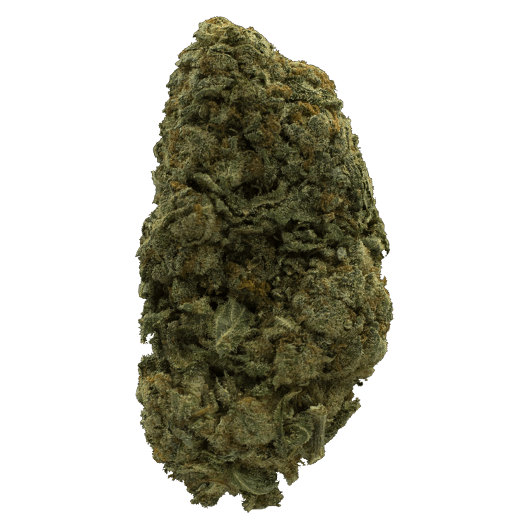 Northern Lights – 1 Ounce | BC Weed Edible Canada Northern Lights – 1 Ounce | BC Weed Edible Canada