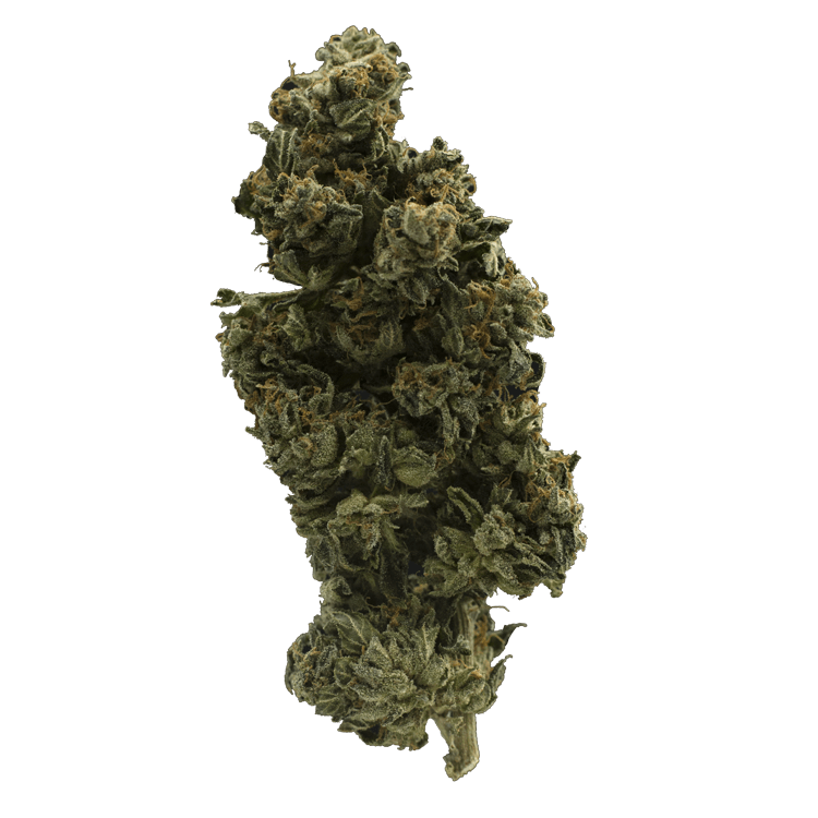 Pink Gorilla – 1 Ounce | BC Weed Edible Canada Pink Gorilla – 1 Ounce | BC Weed Edible Canada