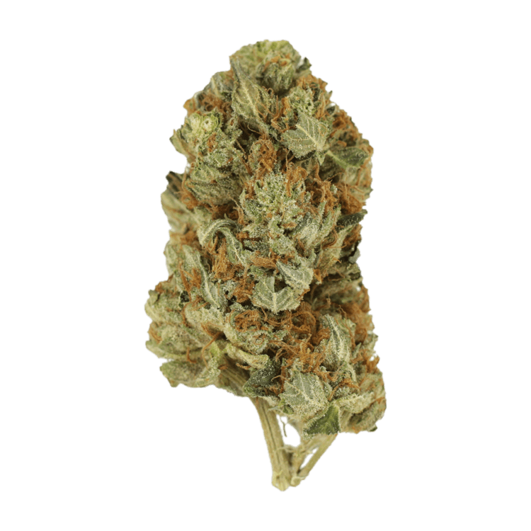 Jet Fuel | BC Weed Edible Canada Jet Fuel | BC Weed Edible Canada