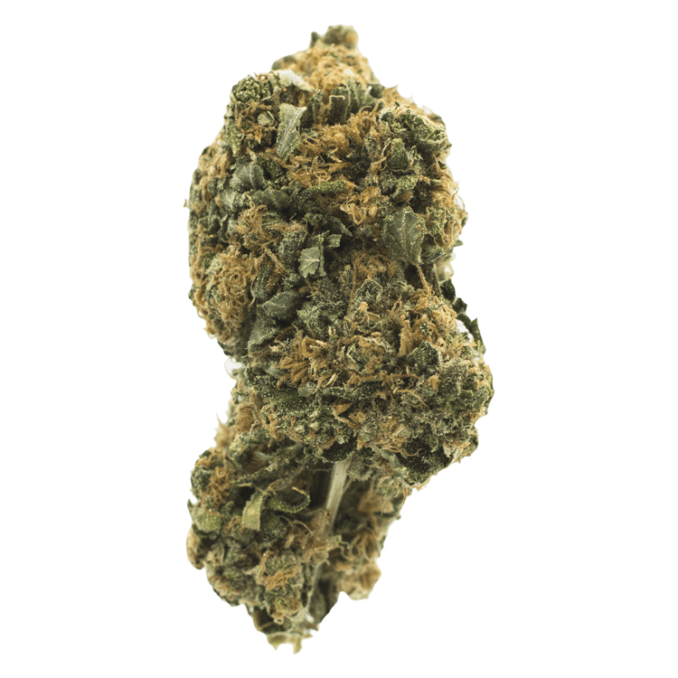 Orange Romulan | BC Weed Edible Canada Orange Romulan | BC Weed Edible Canada