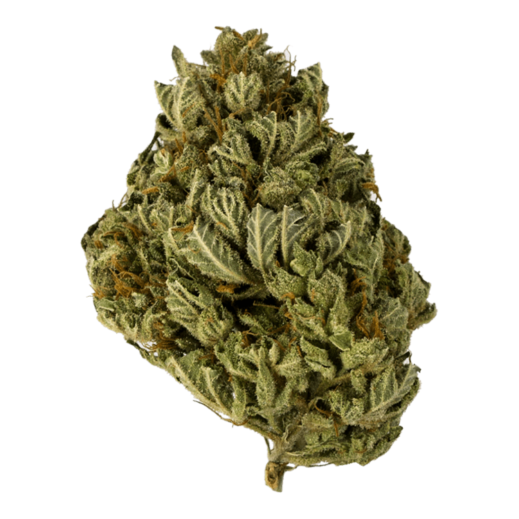 Tangerine Sunrise – 1 ounce | BC Weed Edible Canada Tangerine Sunrise – 1 ounce | BC Weed Edible Canada