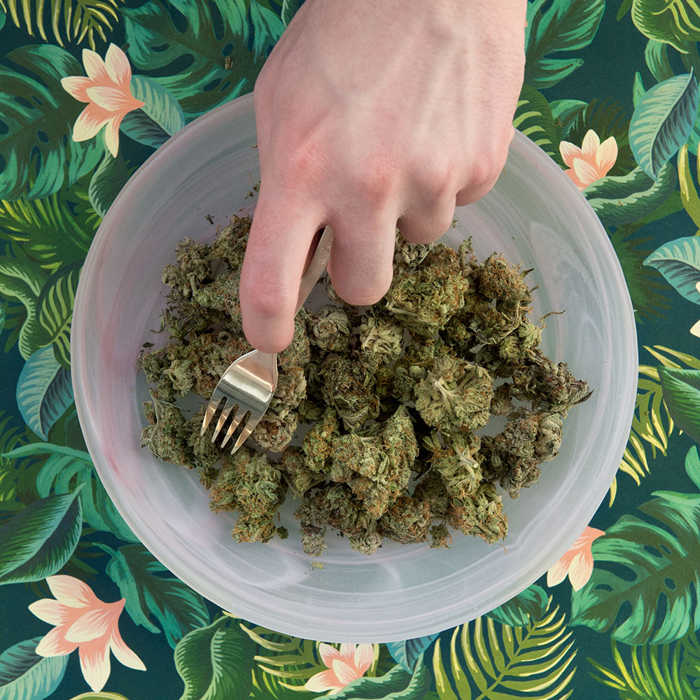 1OZ SAMPLE PACK – SAVE 10% | BC Weed Edible Canada 1OZ SAMPLE PACK – SAVE 10% | BC Weed Edible Canada