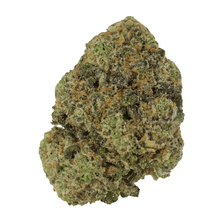 Captain’s Cake | BC Weed Edible Canada Captain’s Cake | BC Weed Edible Canada