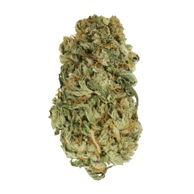 King Louis – 1 ounce | BC Weed Edible Canada King Louis – 1 ounce | BC Weed Edible Canada