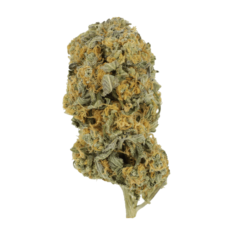 Sour Prince | BC Weed Edible Canada Sour Prince | BC Weed Edible Canada