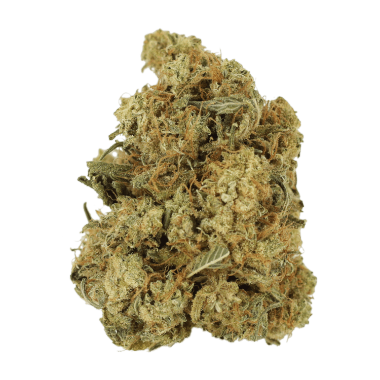 Mint Cookies | BC Weed Edible Canada Mint Cookies | BC Weed Edible Canada