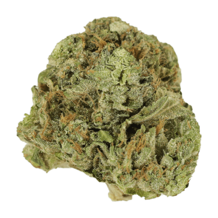 Mango Cream | BC Weed Edible Canada Mango Cream | BC Weed Edible Canada