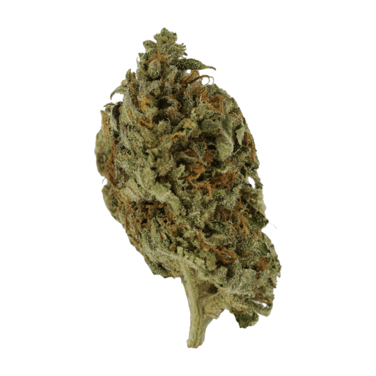 Island Haze | BC Weed Edible Canada Island Haze | BC Weed Edible Canada