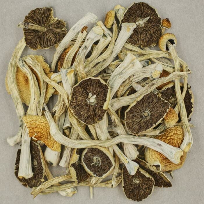 Zilla | BC Weed Edible Canada Zilla | BC Weed Edible Canada