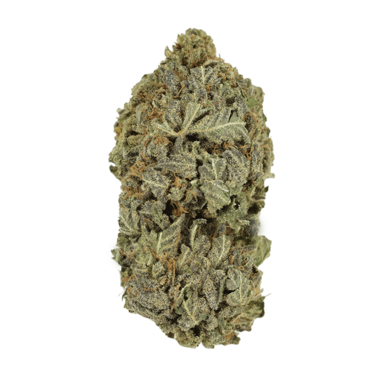 Purple Mimosa | BC Weed Edible Canada Purple Mimosa | BC Weed Edible Canada