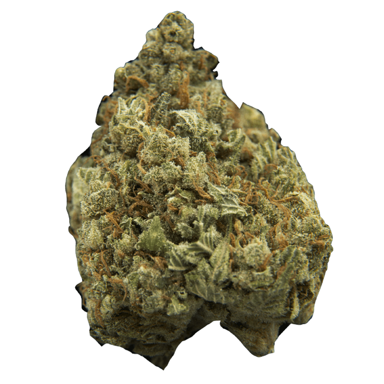 Berry Blue | BC Weed Edible Canada Berry Blue | BC Weed Edible Canada